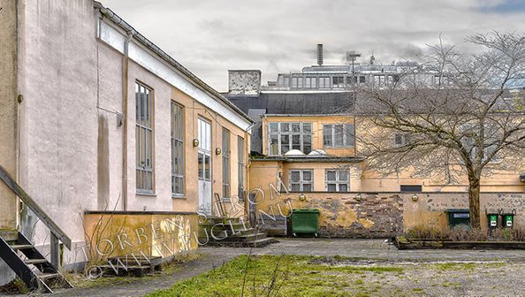 Risbjerggård III